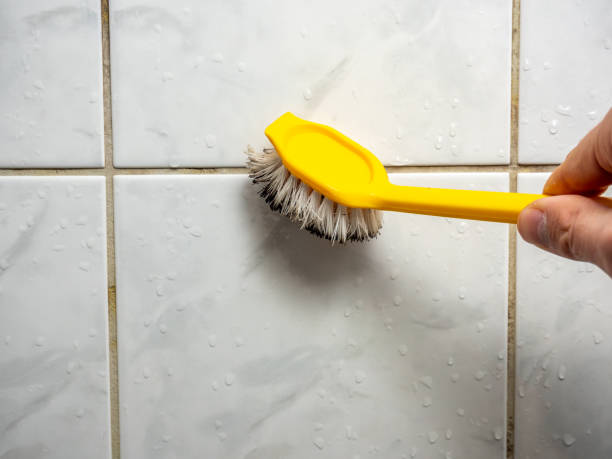 Best Residential Mold Removal  in Santa Ynez, CA