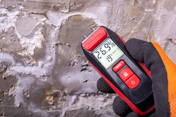 Best Best Mold Removal Companies  in Santa Ynez, CA