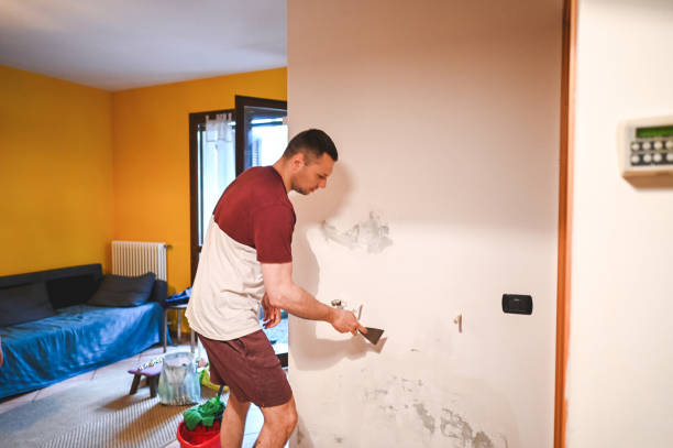 Best Local Mold Removal Service  in Santa Ynez, CA